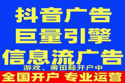 百度竞价与搜索引擎优化（SEO）的协同效应案例